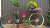 Blumenstnder Fahrrad